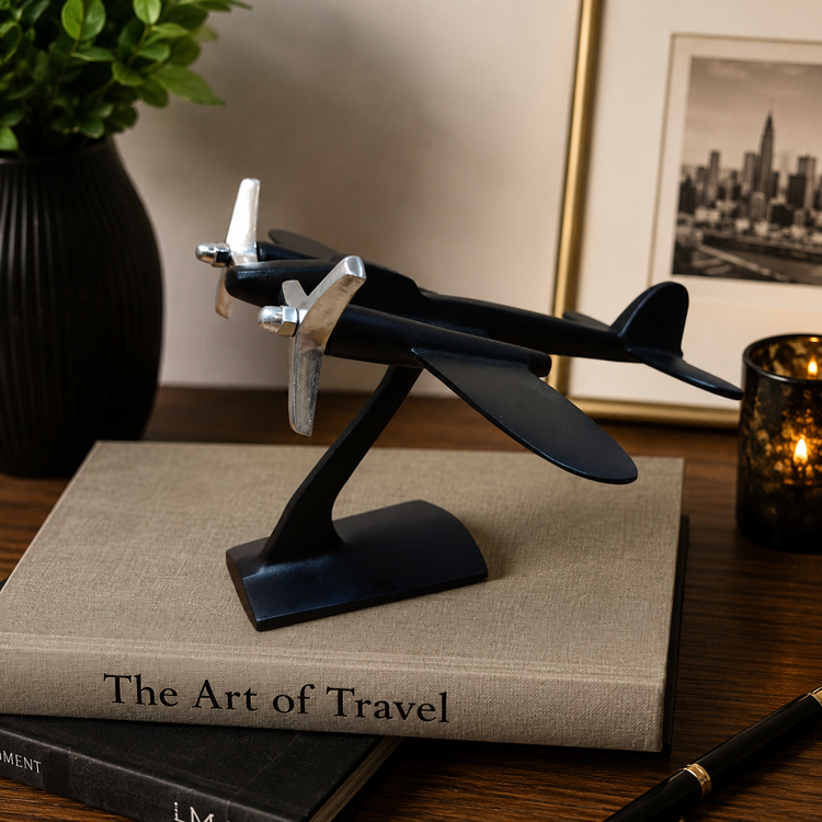 polished-aluminum-airplane-decor.jpg